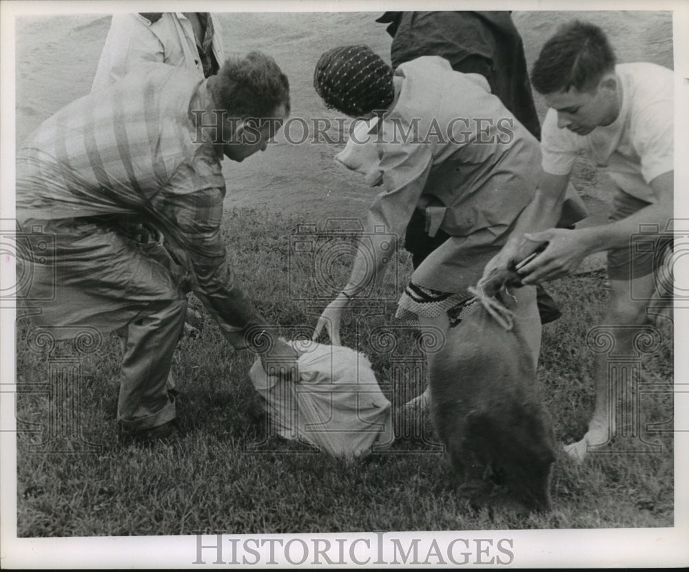 1961 Press Photo People carry bags near San Jacinto River, TX after hurricane - Historic Images