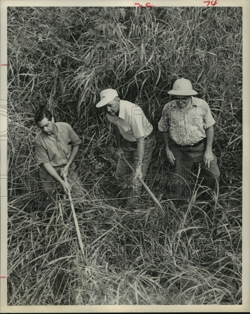 1961 MacGregor Trails Civic Club members hunt snakes in Houston - Historic Images