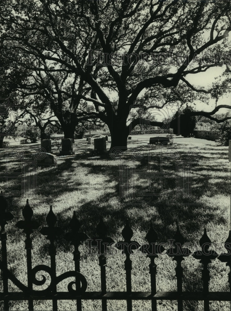 1965 Press Photo View of Lyndon B. Johnson family cemetery-Johnson City, TX - Historic Images