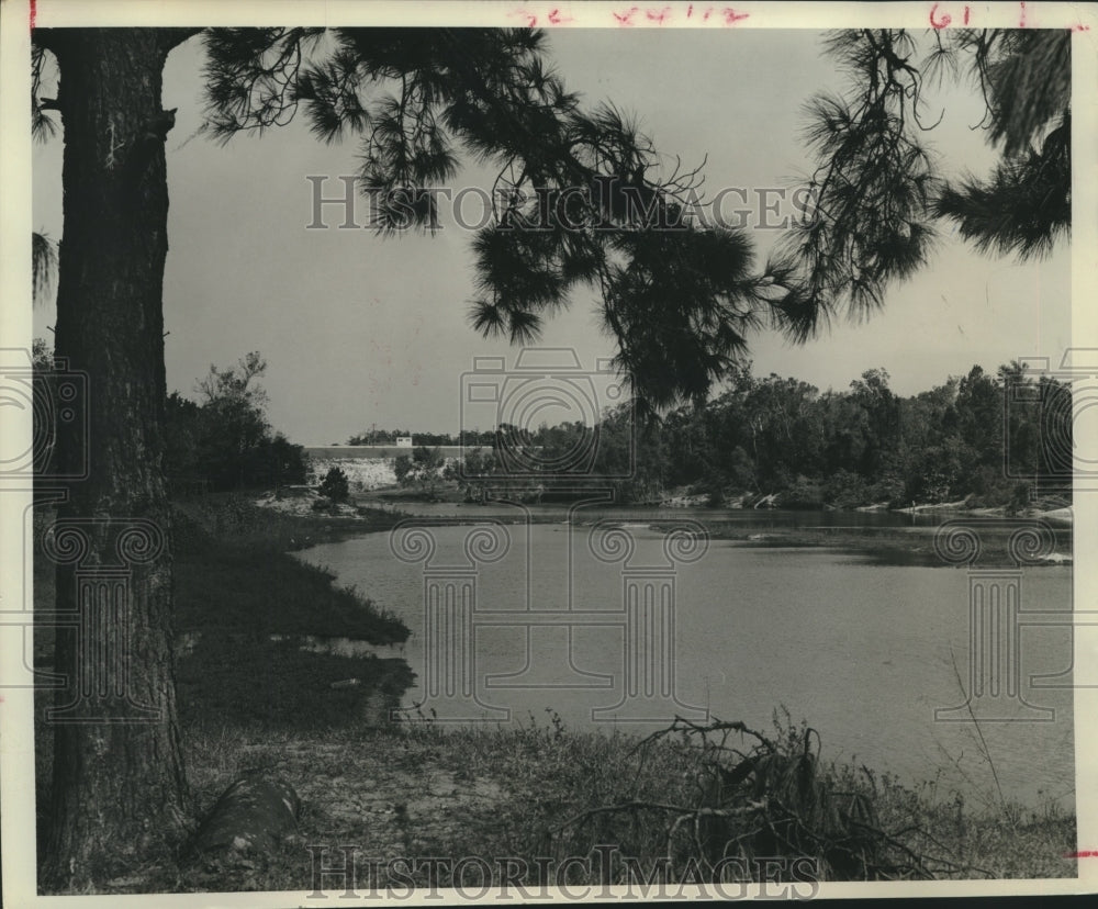 1962 Press Photo Pine boughs frame river bed view at Lake Houston Park in TX-Historic Images