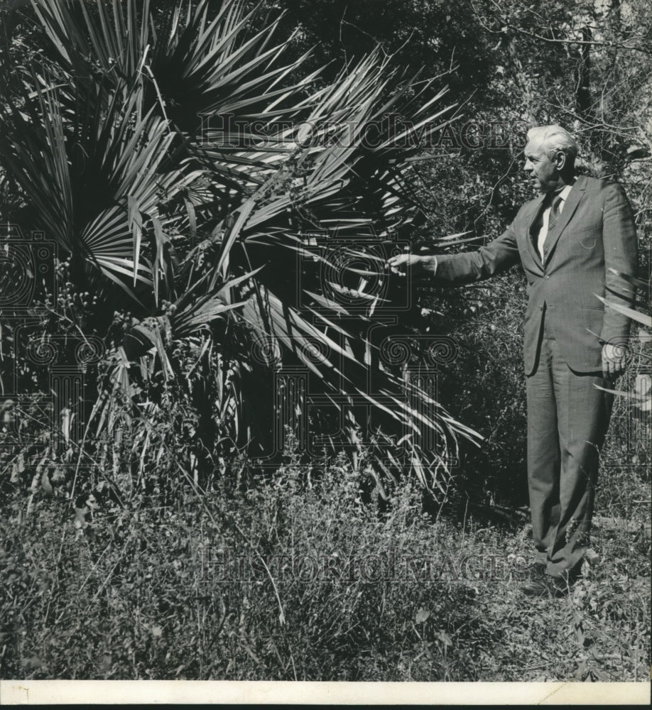 1969 Press Photo Schiebe holds giant palmetto front at Lake Houston - hca39765 - Historic Images