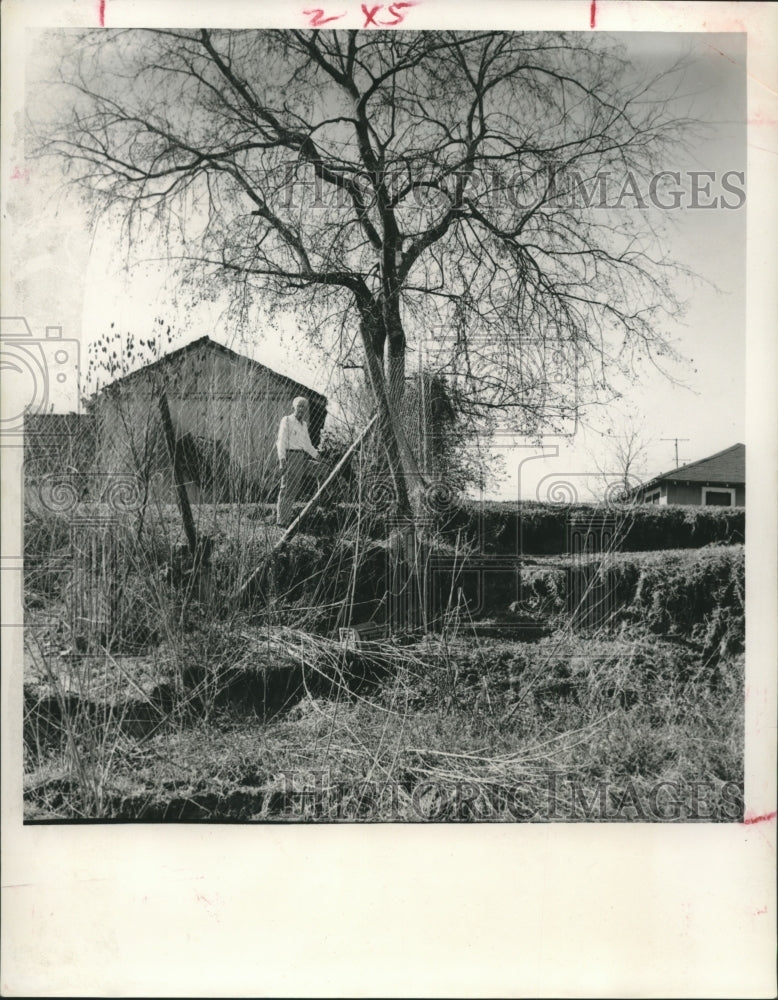 1961 H. H. Sandero in sunken backyard in Little White Oaks Bayou, TX - Historic Images