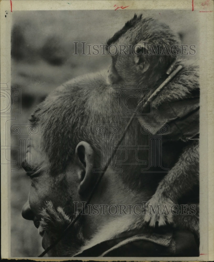 1970 Press Photo 25th Division Cavalry trooper with pet monkey, South Vietnam - Historic Images