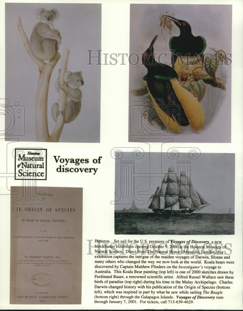 2000 Press Photo Voyages of Discovery exhibit, Houston Museum of Natural Science - Historic Images