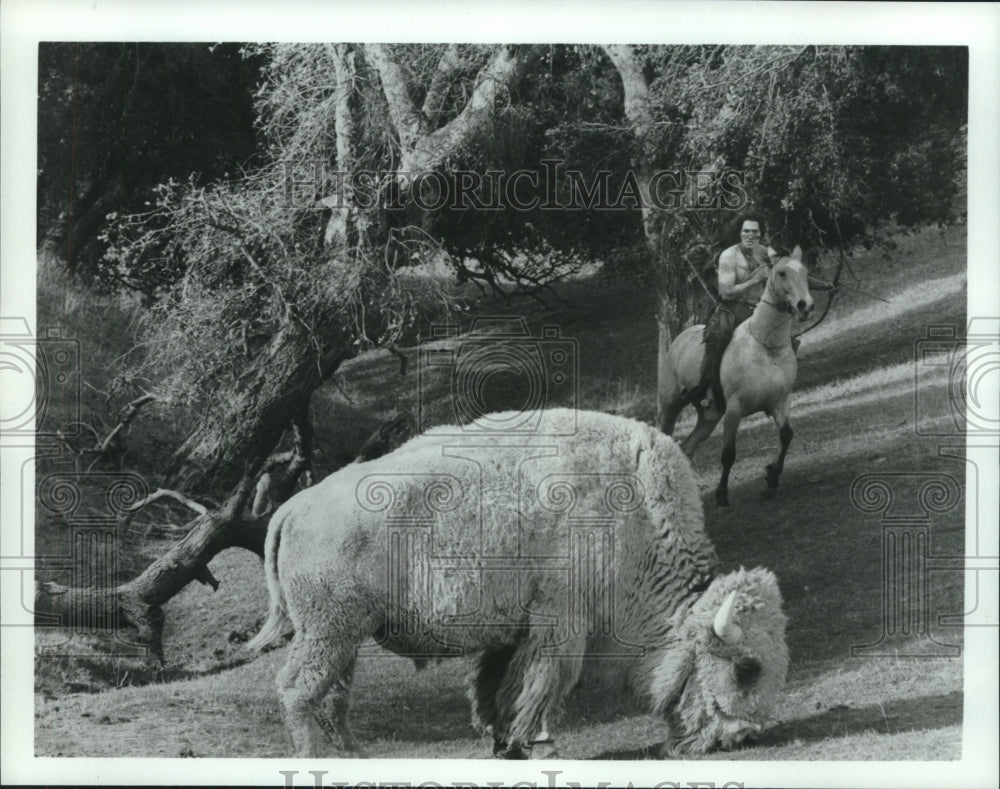 1984 Press Photo Great white buffalo in "The Mystic Warrior" TV mini-series - Historic Images