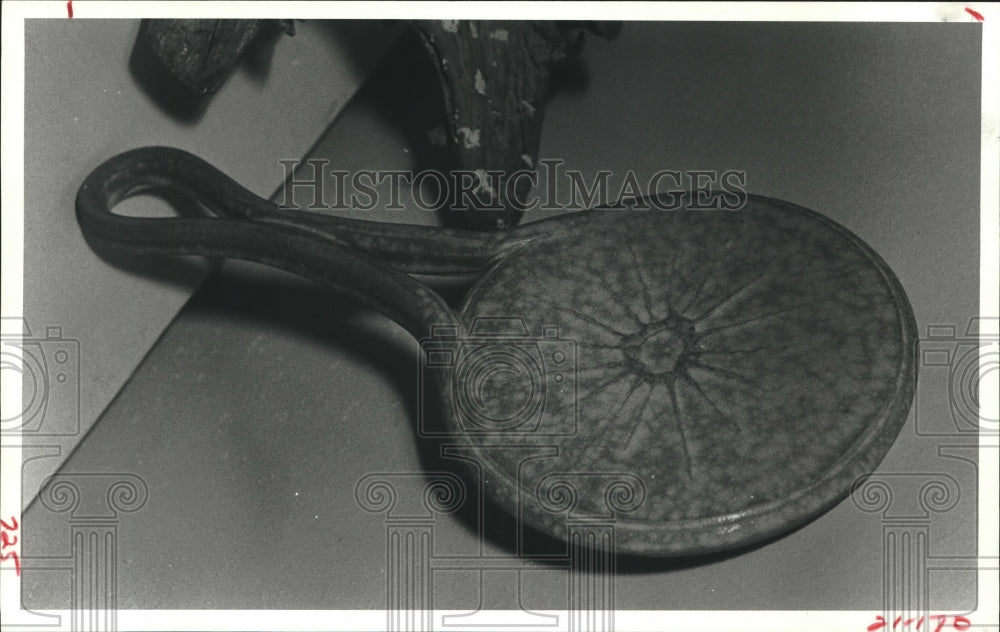 1982 Press Photo Porcelain mirror by Ellen Szekely - Texas - hca49461 - Historic Images