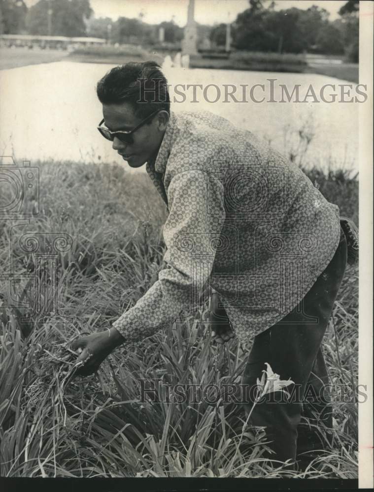 1965 Press Photo Joe Sauceda Weeds in Hermann Park, Houston, Texas - Historic Images