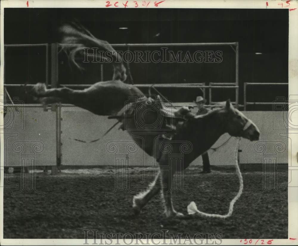 1968 Press Photo &quot;Jake Kicks,&quot; bucking horse at Houston Livestock and Rodeo Show- Historic Images