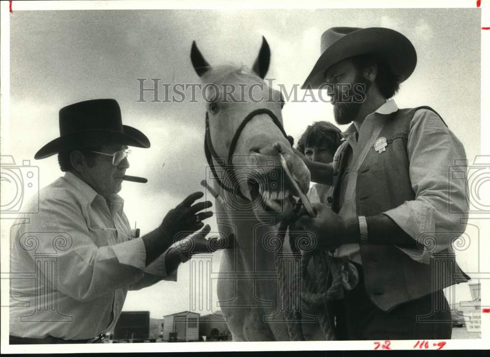 1982 Press Photo Dr. Tony Barcelona, Houston Rodeo veterinarian checks horse - Historic Images