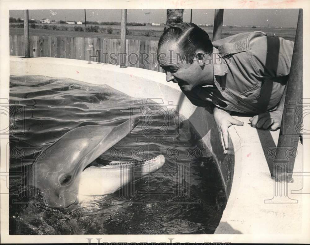 1966 Author William J. Cromie Checks of Bottlenose Dolphin "Sinbad"-Historic Images