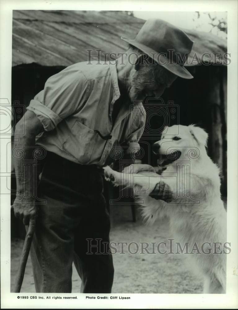 1993 Press Photo Actor Hume Cronyn - Historic Images