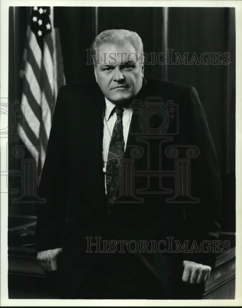 1996 Press Photo Actor Brian Dennehy - Historic Images