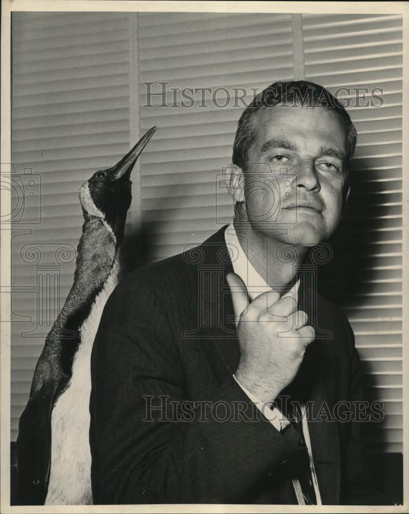 1962 Newspaper writer, Art Hoppe motions to the penguin behind him.-Historic Images