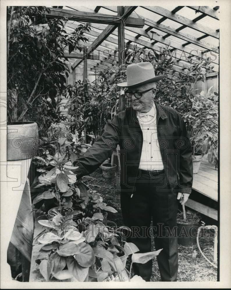 1969 Press Photo J.D. Miller works with plants in greenhouse - hcb39296 - Historic Images