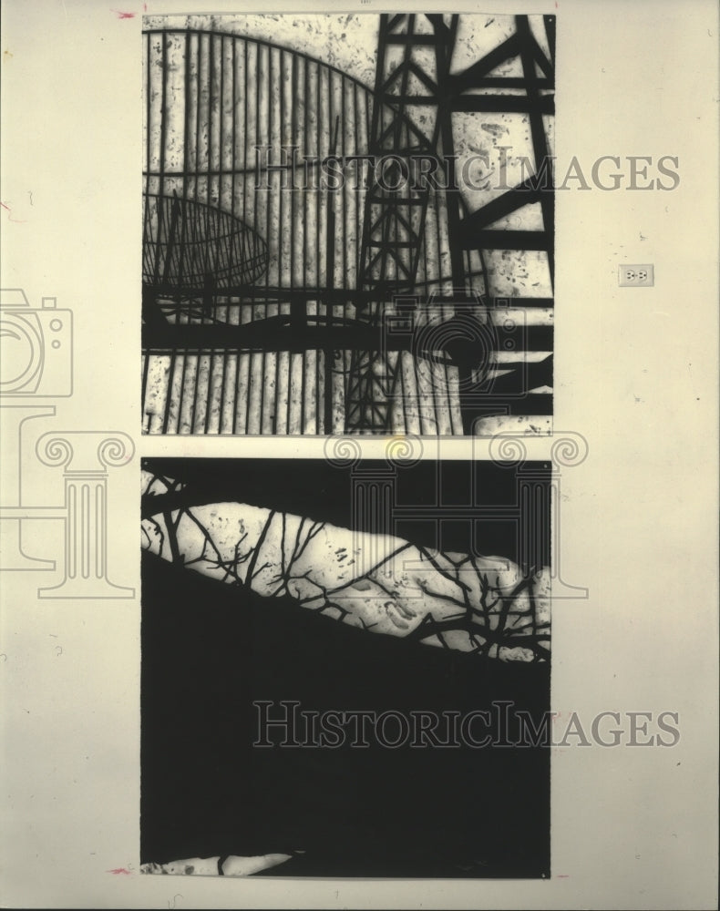 1988 Press Photo Randy Twaddle's "Branches" at Contemporary Arts Museum - Historic Images