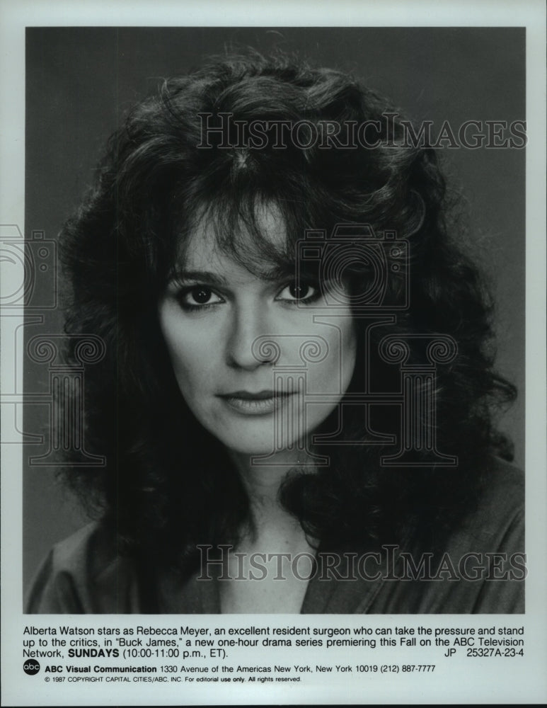 1987 Press Photo Alberta Watson stars in the television show "Buck James" - Historic Images