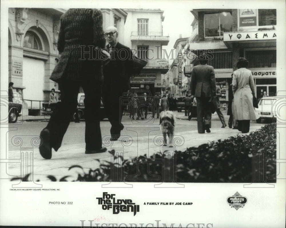 1981 Press Photo Scene from the movie &quot;For the Love of Benji&quot; - hcp04440- Historic Images