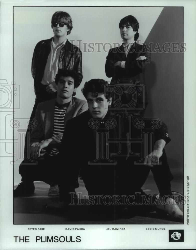 1981 Press Photo Pop Group &quot;The Plimsouls&quot; - hcp07311- Historic Images