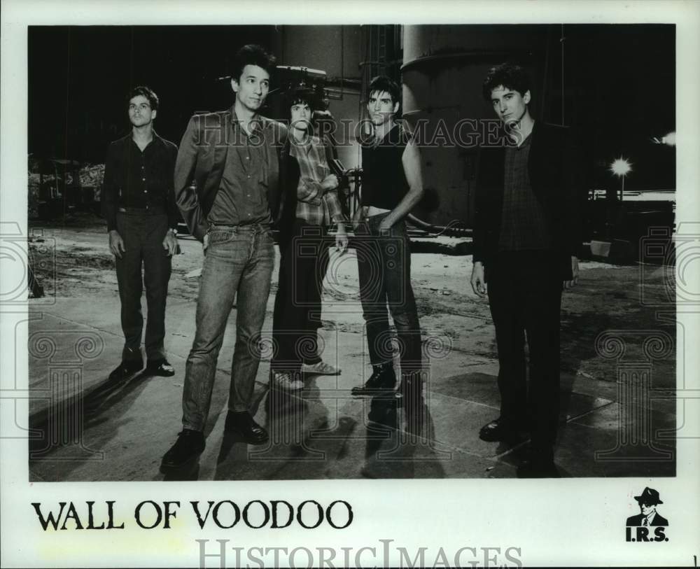 1981 Press Photo Pop music group &quot;Wall of Voodoo&quot;. - hcp09778- Historic Images