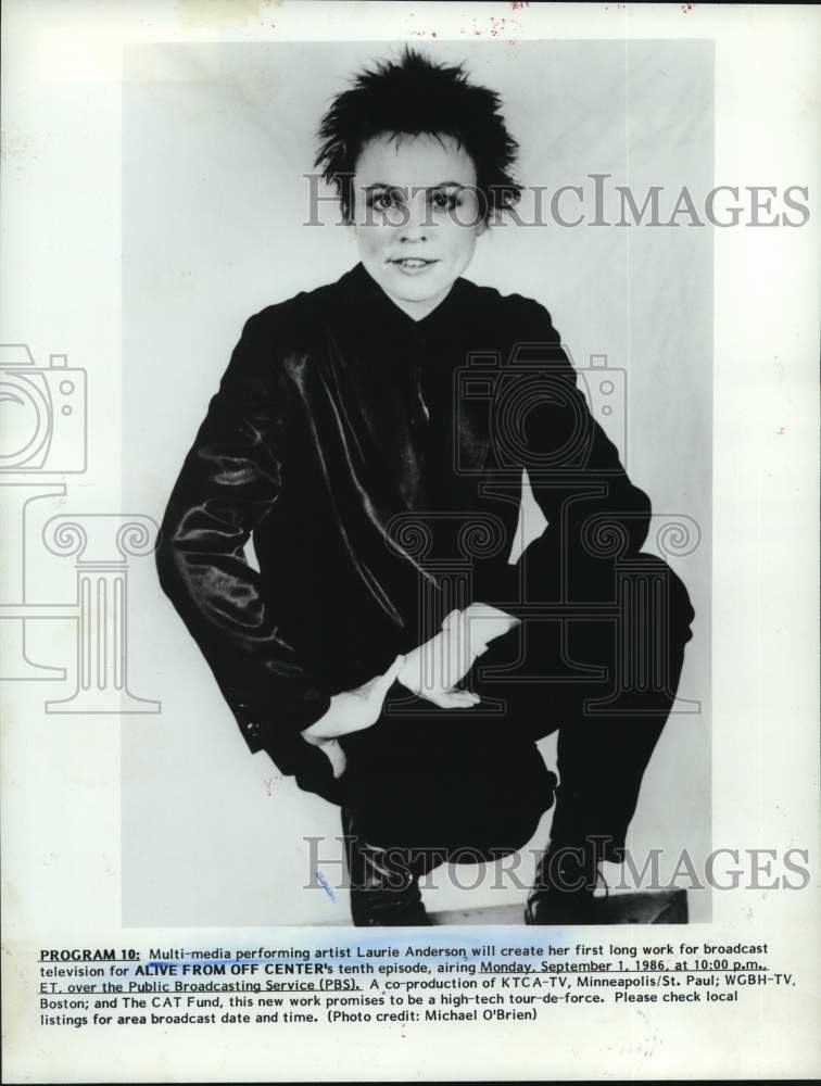 1986 Press Photo Multi-media performing artist Laurie Anderson - Historic Images