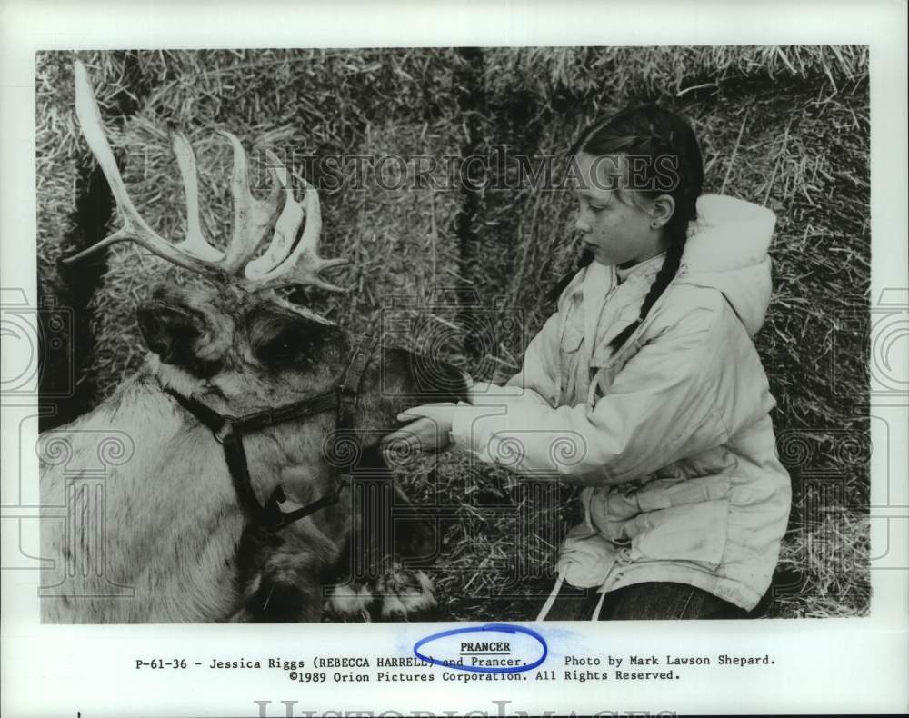1989 Press Photo Rebecca Harrel with a reindeer in "Prancer" movie - Historic Images