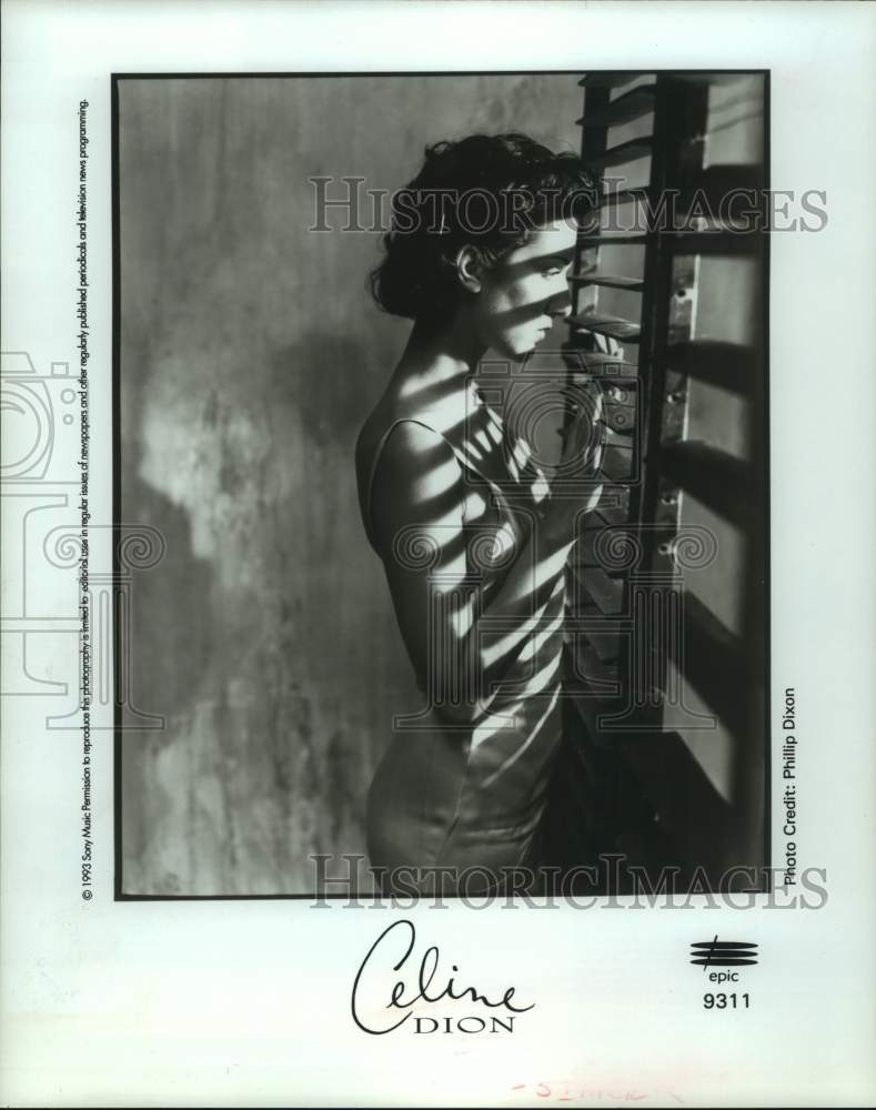 1993 Press Photo Singer Celine Dion - Historic Images