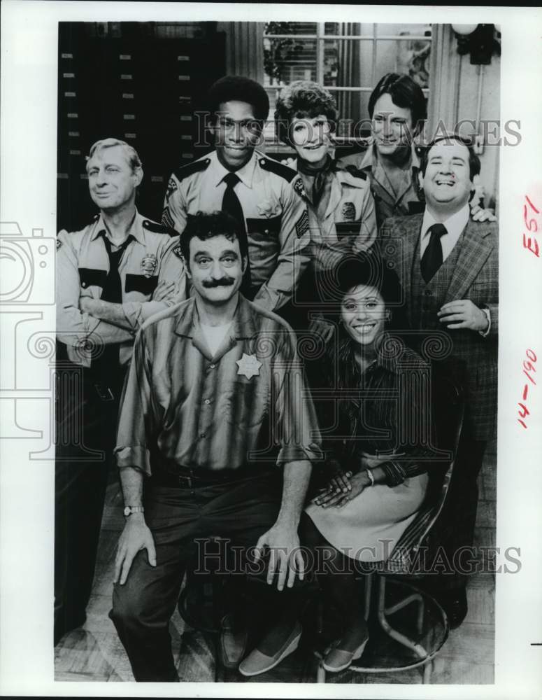 1979 Press Photo Cast of "Carter Country" television series - Historic Images