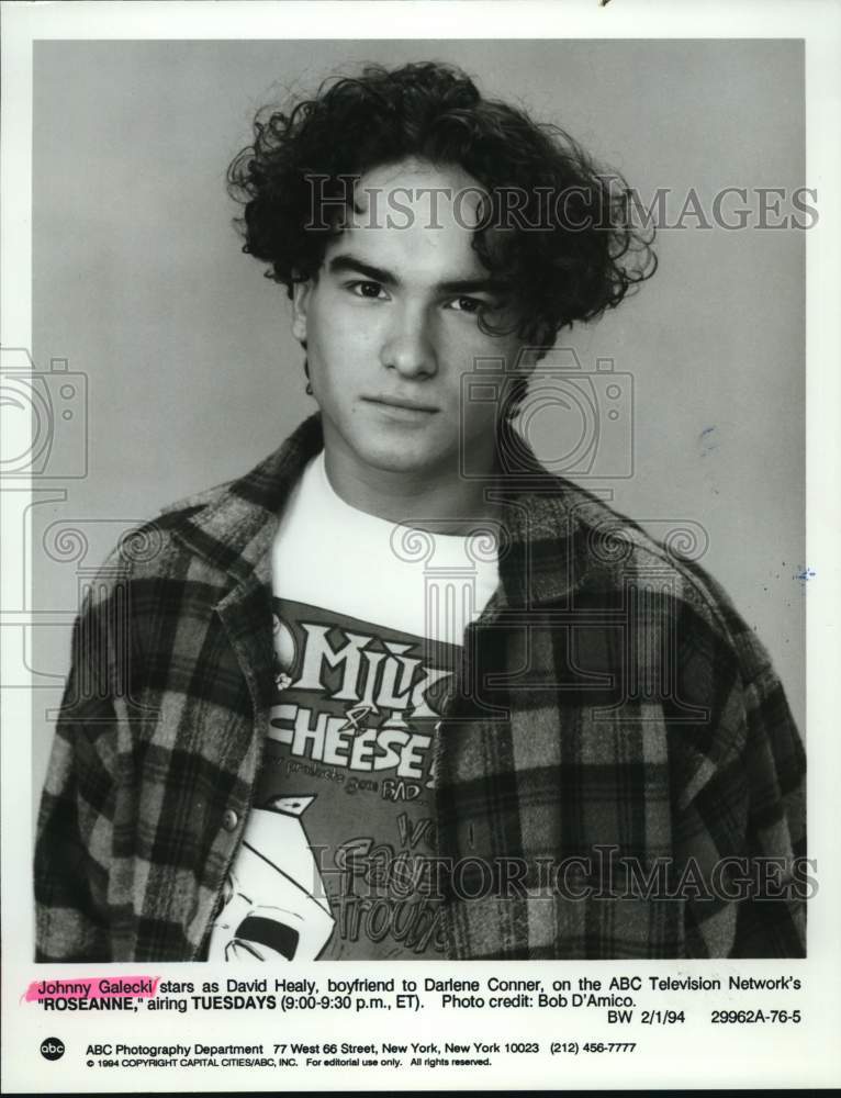 1994 Press Photo Actor Johnny Galecki in "Roseanne" - Historic Images