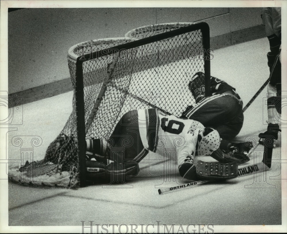 1977 Press Photo Houston Aeros&#39; goaltender Ron Graham stops a shot on goal.- Historic Images