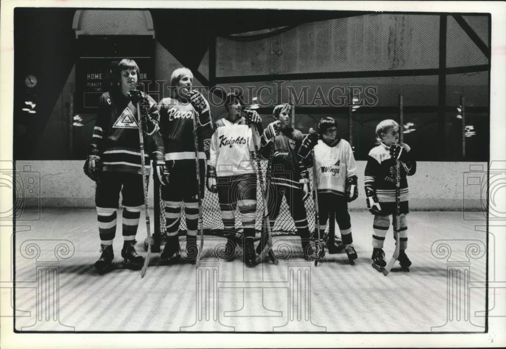 1978 Press Photo Players of the Metropolitan Houston Hockey Association - Historic Images