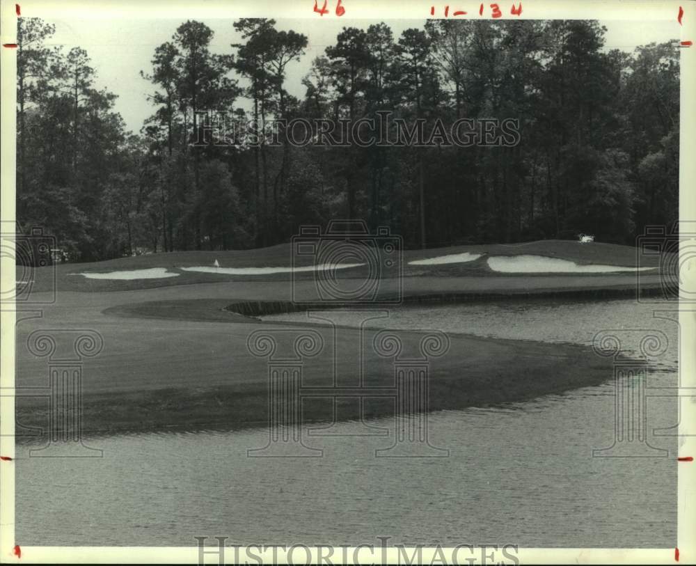 1985 Press Photo Shot of hole #8 on the course at Houston Open Golf Tournament.- Historic Images