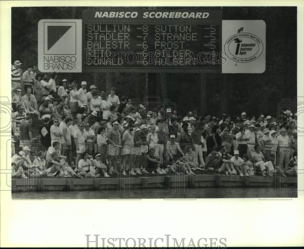 1989 Press Photo Gallery at 18th green at Independent Insurance Agent Open. - Historic Images