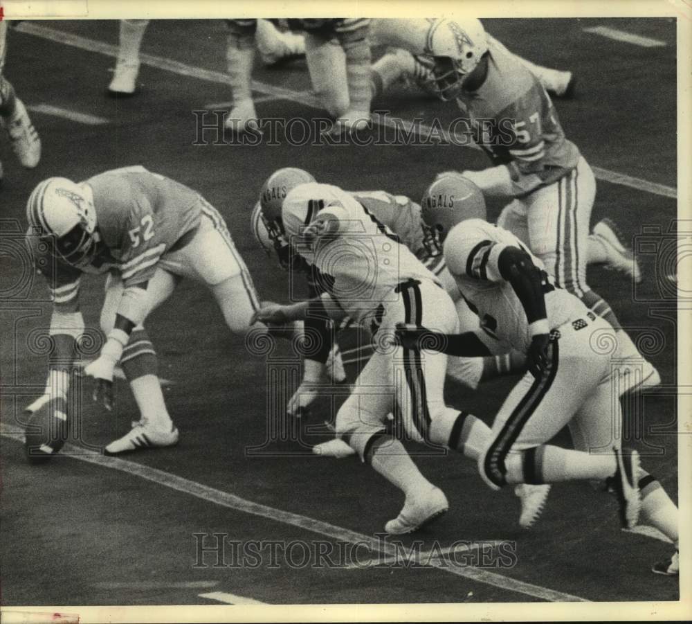 1975 Press Photo Oilers&#39; &amp; Bengals scramble for loose football. - hcs16658 - Historic Images