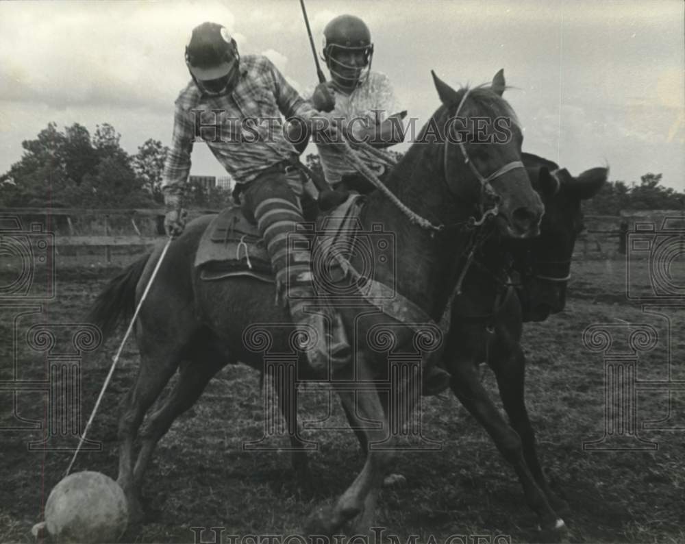 1977 Press Photo Practicing Cowboy Polo, a rougher, Texanized type of polo- Historic Images