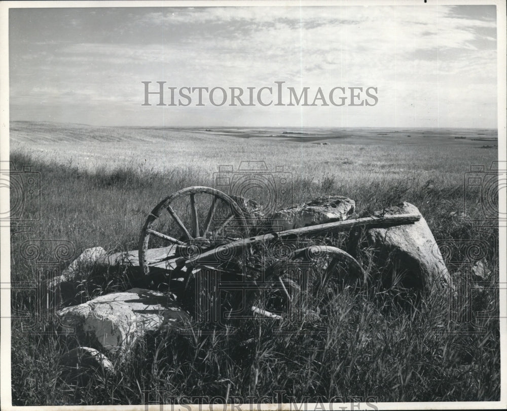 1982 Old wagon near Waterton Lakes National Park, Alberta, Canada - Historic Images