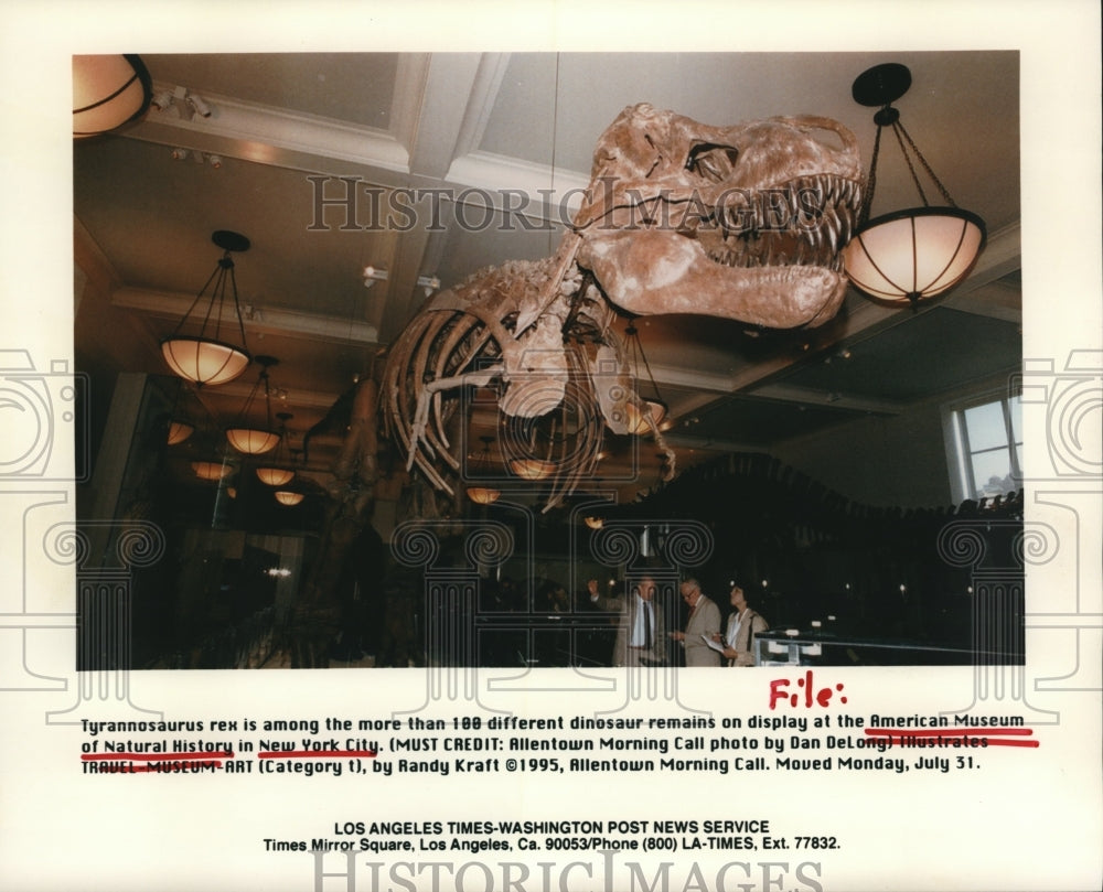 1995 Press Photo Tyrannosaurus rex at American Museum of Natural History in NY-Historic Images