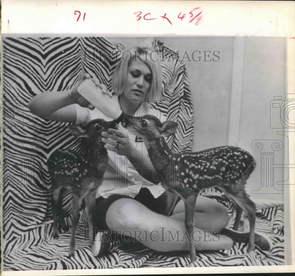 1970 Zookeeper Lucy Neilson Feeds Baby Costa Rican Deer - Historic Images