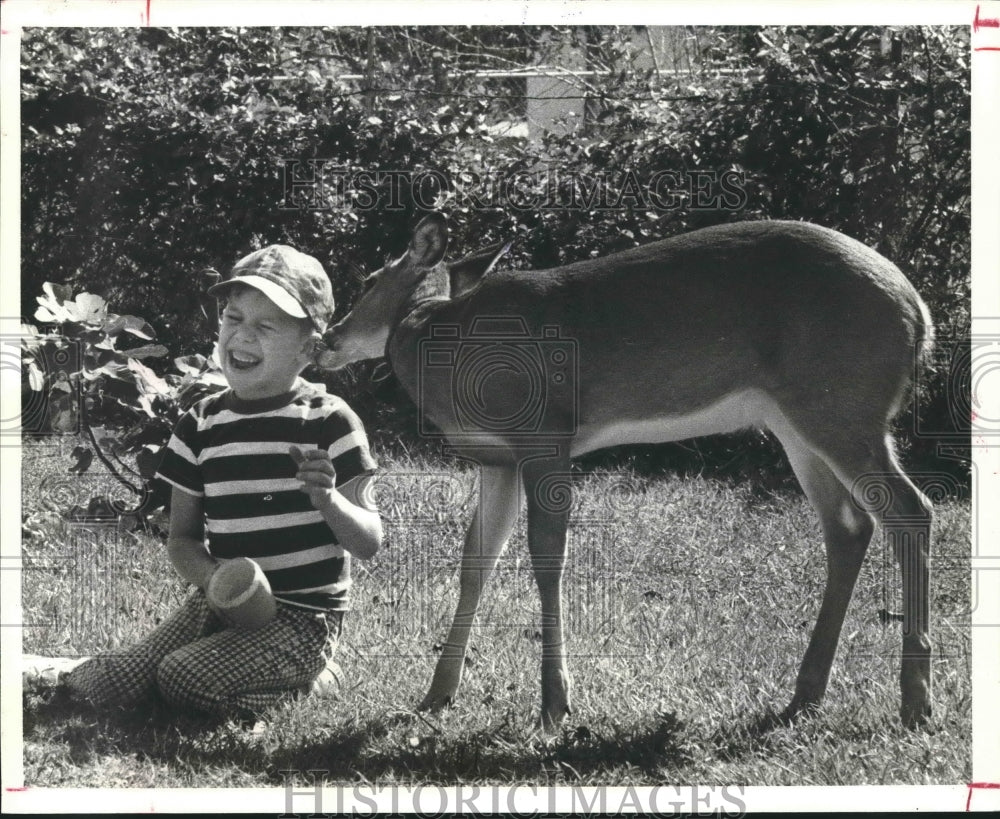 1980 Boy plays with deer - Historic Images