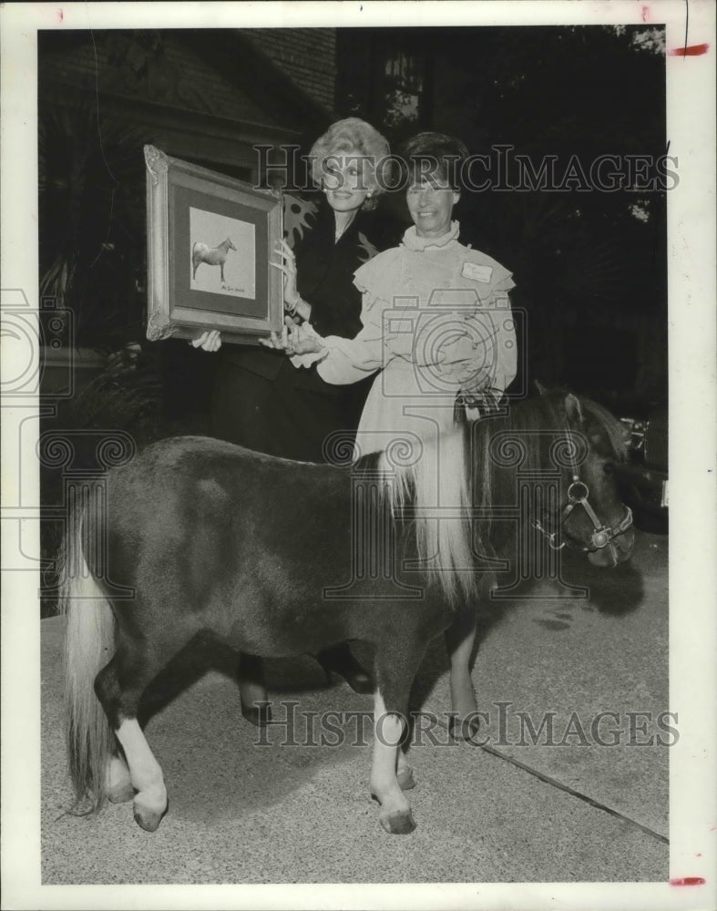 1985 Press Photo Miniature horse, Citizens for Animal Protection, Houston - Historic Images