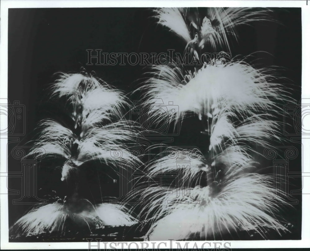 1984 Press Photo Fireworks over Houston. - hcx02943 - Historic Images