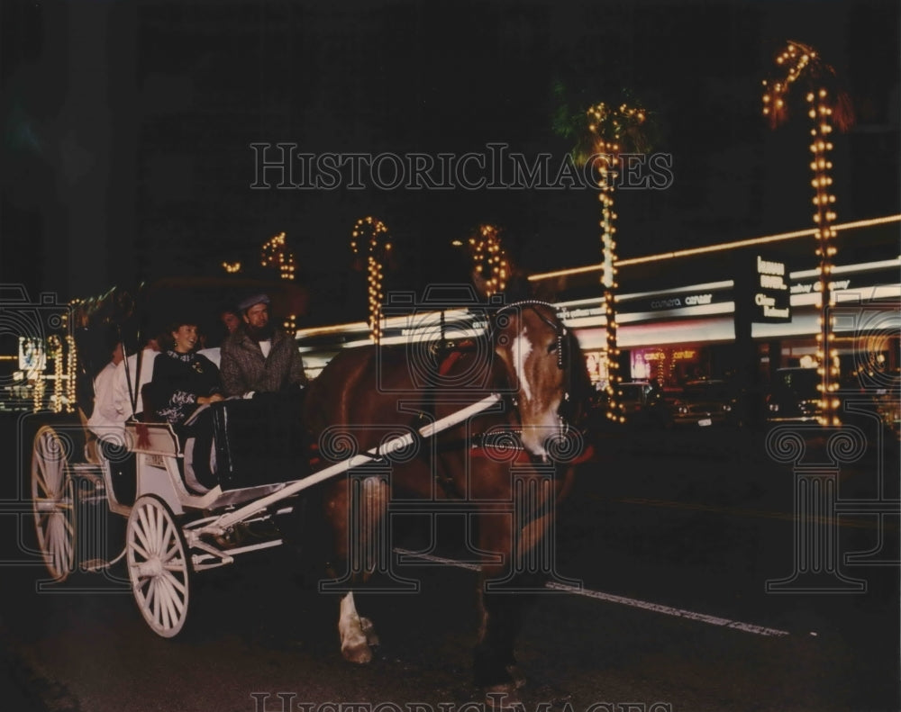 1989 Nightly Carriage Ride in Downtown Setting with Christmas Lights - Historic Images