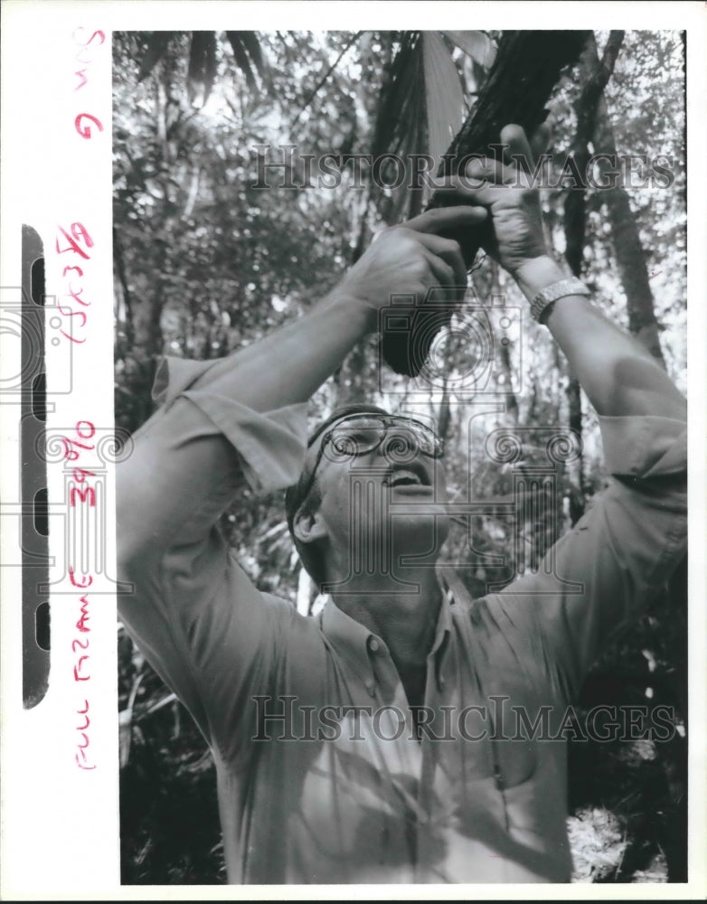 1988 Man Grabs Stick in Tropical Forest. - Historic Images