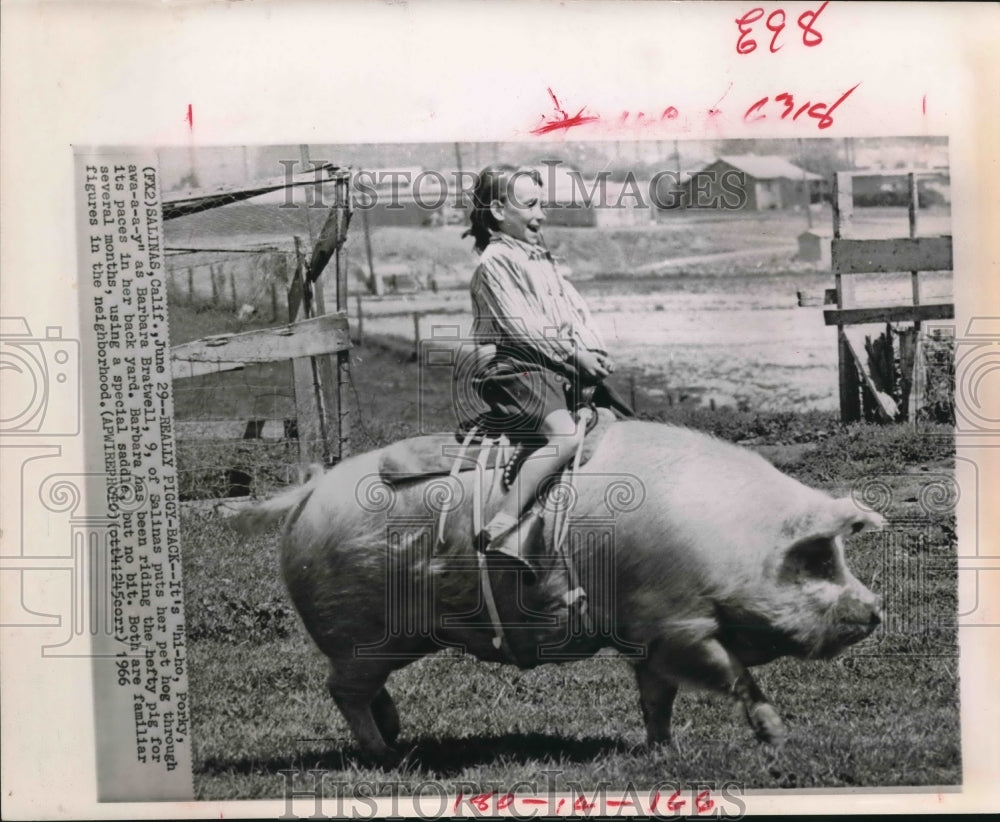 1966 Press Photo Barbara Bratwell Rides Pet Pig in Her California Backyard.-Historic Images