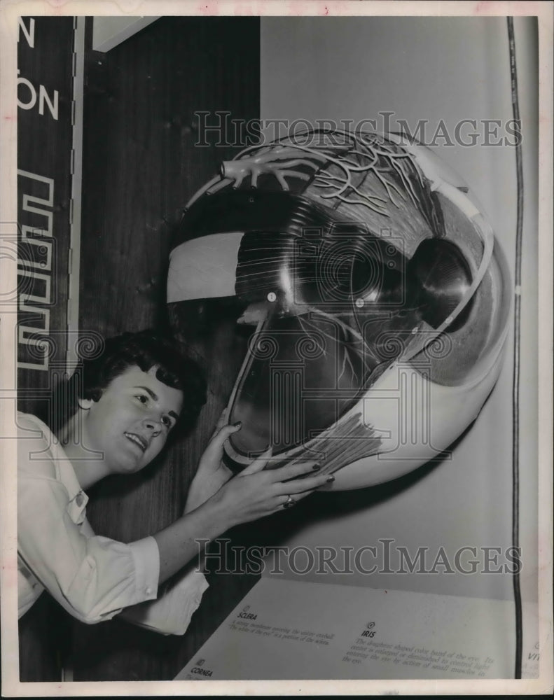 1962 Nurse Kay Ryan inspects an eye model at Harris Co. Health Fair - Historic Images