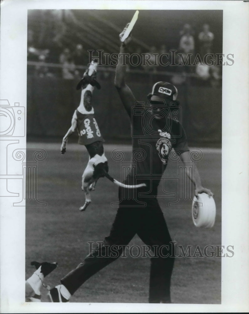 1983 Press Photo Man and Dog play with Frisbees - hcx05713- Historic Images