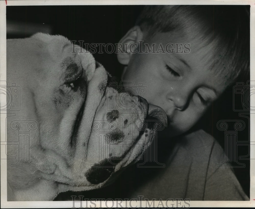1970 Darrel Cox and his Bulldog, Little Bit, Houston kennel club - Historic Images