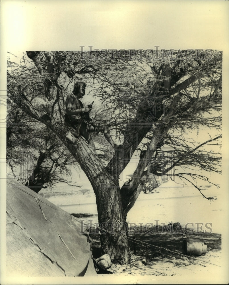 1970 Press Photo Mercenary named Gerard sits in tree guarding tent area-Historic Images