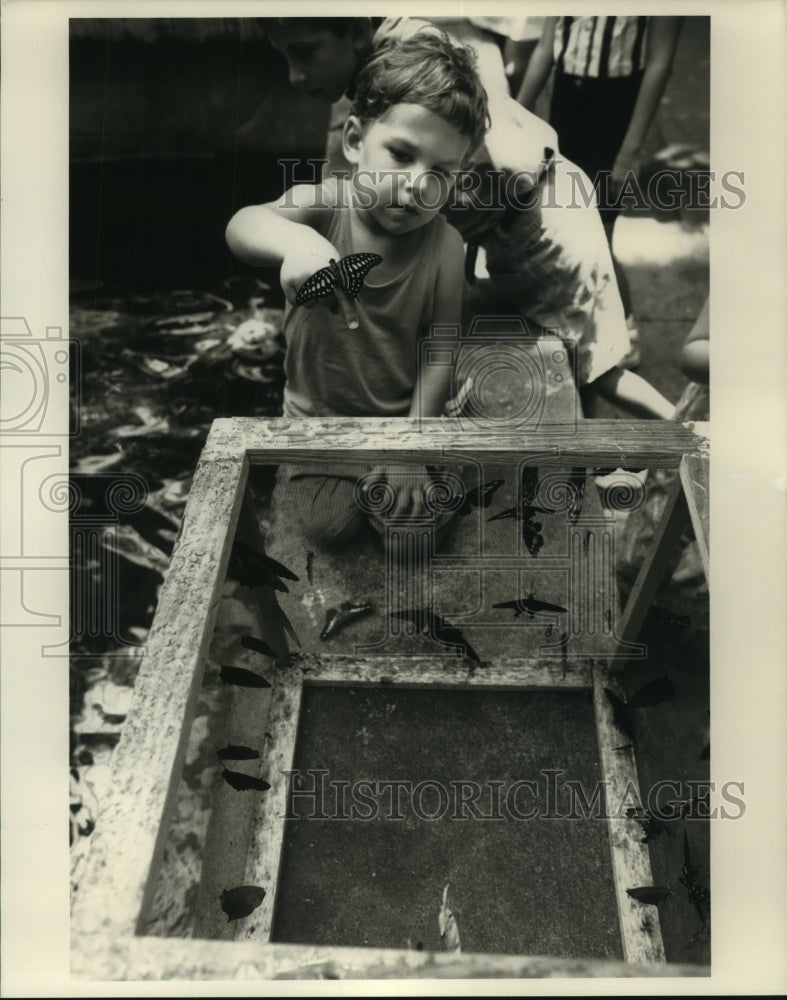 1994 Child with Butterflies at Moody Gardens Rainforest in Galveston - Historic Images