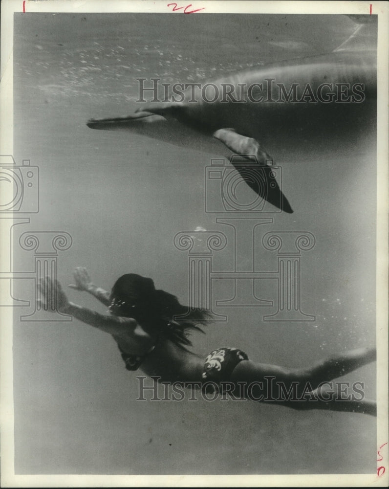 1965 Whaler's Cove at Sea Life Park in Hawaii, Porpoise, woman swim - Historic Images