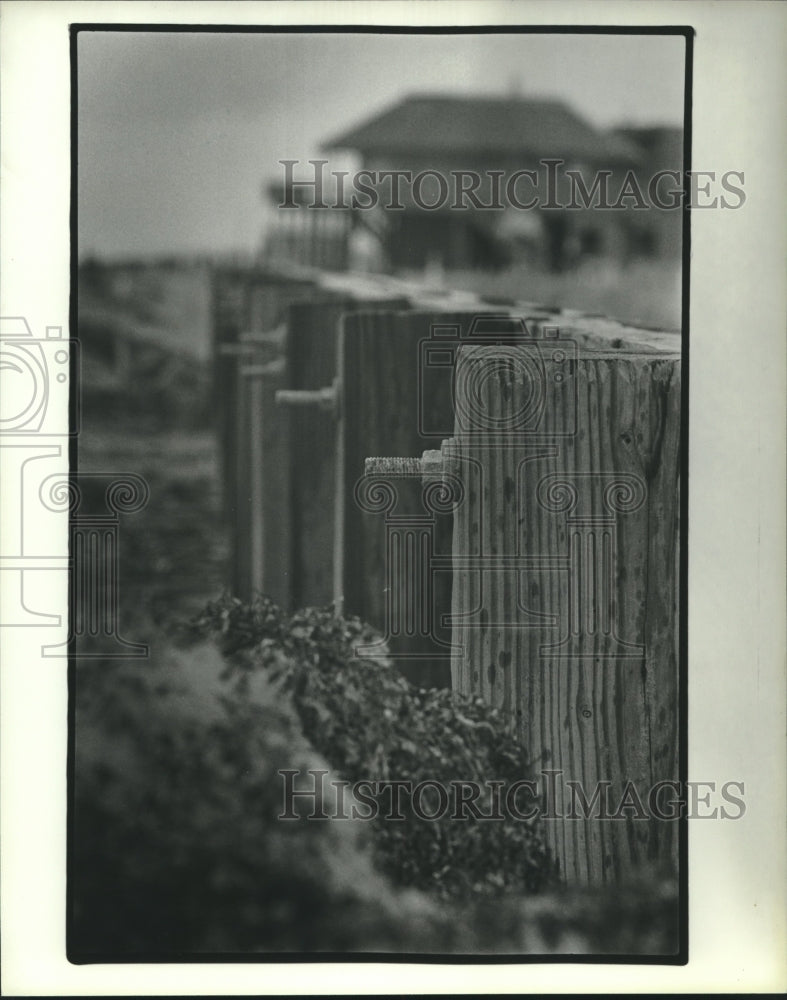 1985 Press Photo Pirate&#39;s Beach at Galveston Island, Texas. - hcx14506 - Historic Images